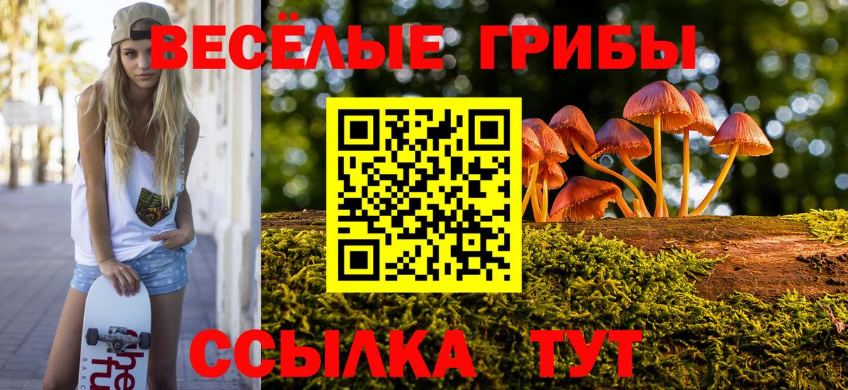Великий Устюг  Псилоцибиновые грибы Psilocybe  Вход с VPN  Галлюциногенные грибы Magic Shrooms 