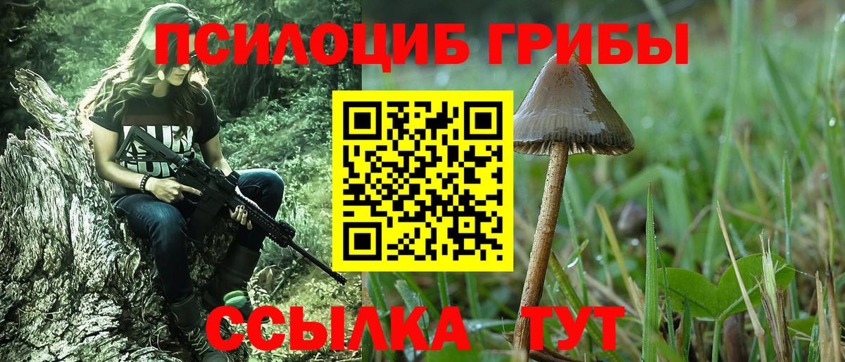 Псилоцибиновые грибы Psilocybe Великий Устюг